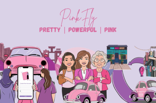 pinkfly - ride hailing service for women in pakistan - stuff anf bluff